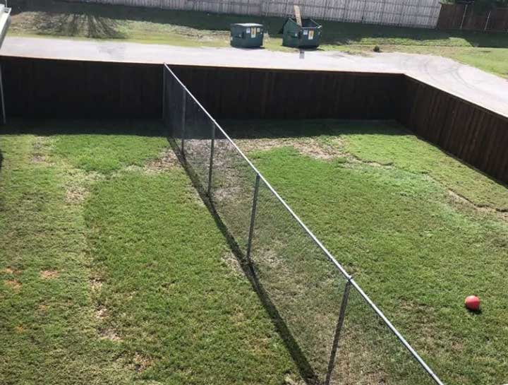 McKinney Pet Boarding Dog Boarding